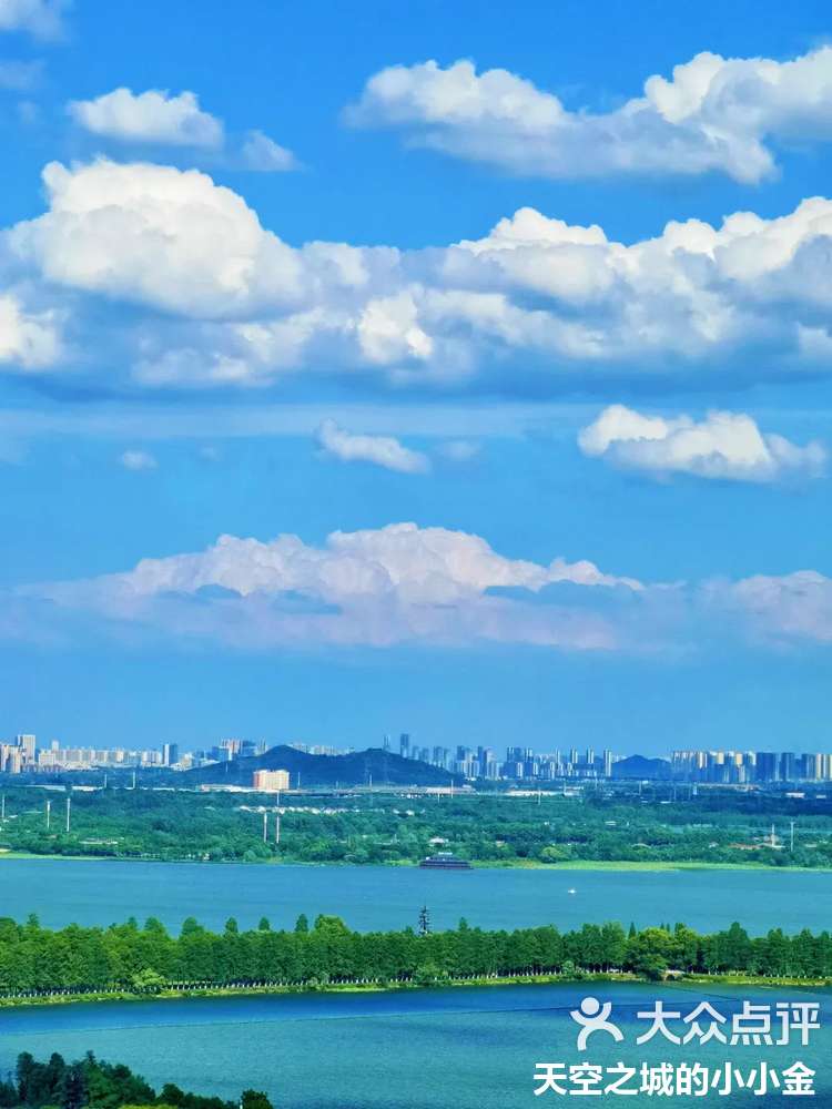 蓝云官网下载手机版红手指云手机下载官网