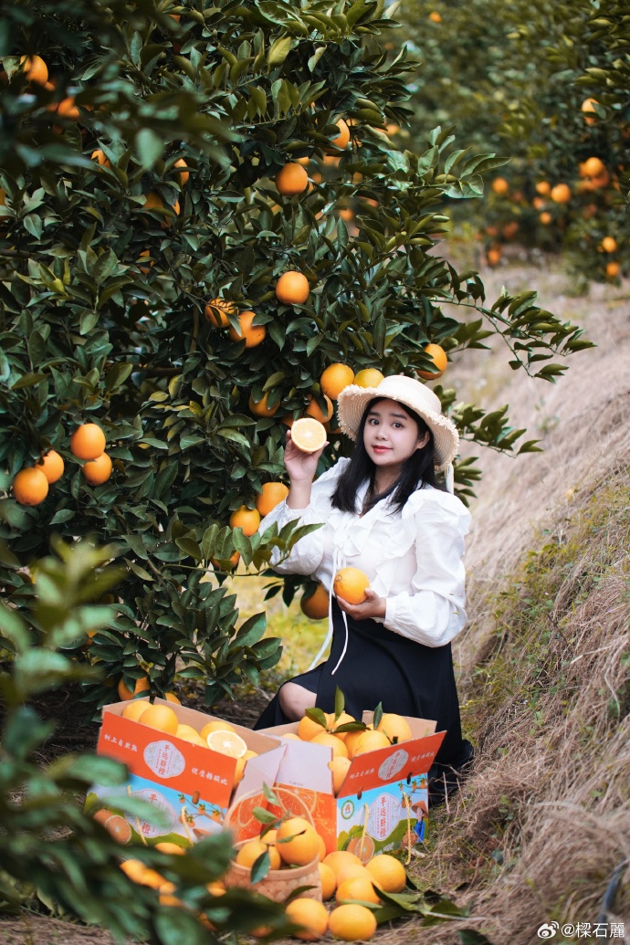 橙秀苹果版安卓版安卓版苹果版电脑版