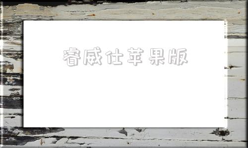 睿威仕苹果版睿威仕监控官网