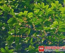bt6080手机版在线yy6080高清在线观看-第2张图片-太平洋在线下载